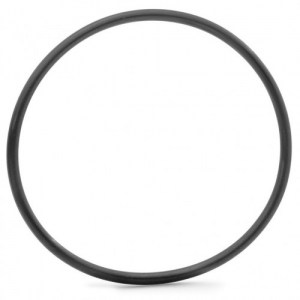 BOSCH E-Bike O-Ring for Bosch Performance Line Gen4 (BDU4XX) DRIMALASBIKES